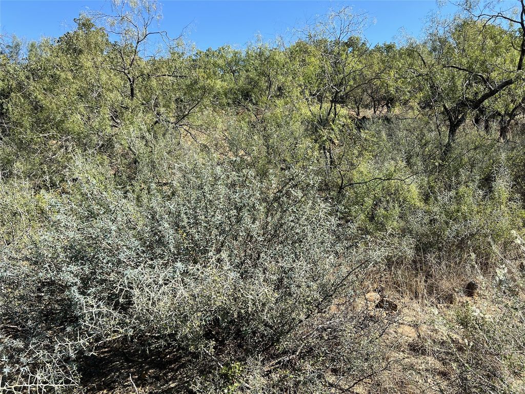 TBD Live Oak Drive, May, TX 76857