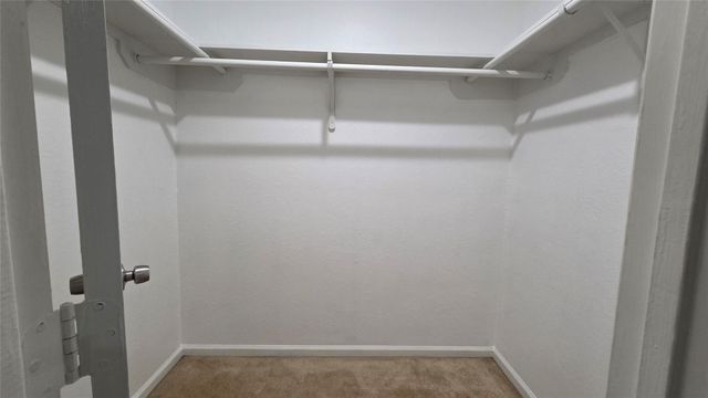 23338 Sandpiper Trail, Spring, TX 77373