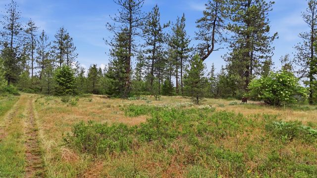 XXX W Highland Rd, Nine Mile Falls, WA 99026 property photo