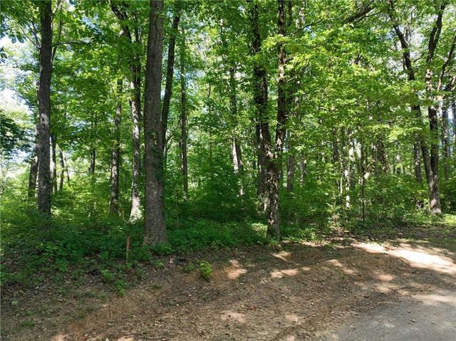 31 Highline Drive, Ellijay, GA 30536