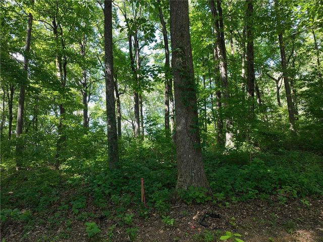 31 Highline Drive, Ellijay, GA 30536