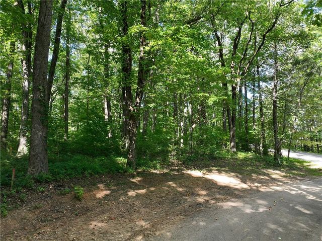 31 Highline Drive, Ellijay, GA 30536