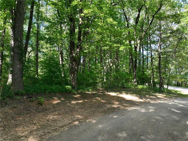 31 Highline Drive, Ellijay, GA 30536