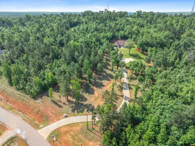 16943 Ridgeline Loop, Winona, TX 75792