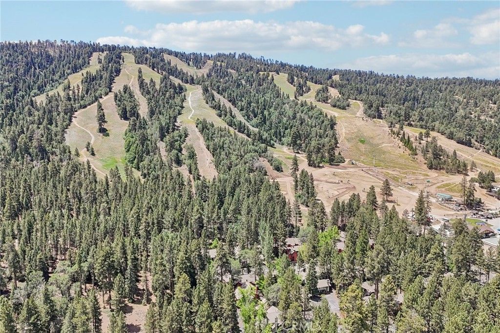 Image 35 of property listing at 41935 Switzerland 77, Big Bear Lake, CA 92315