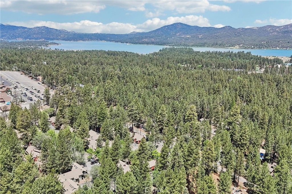 Image 36 of property listing at 41935 Switzerland 77, Big Bear Lake, CA 92315