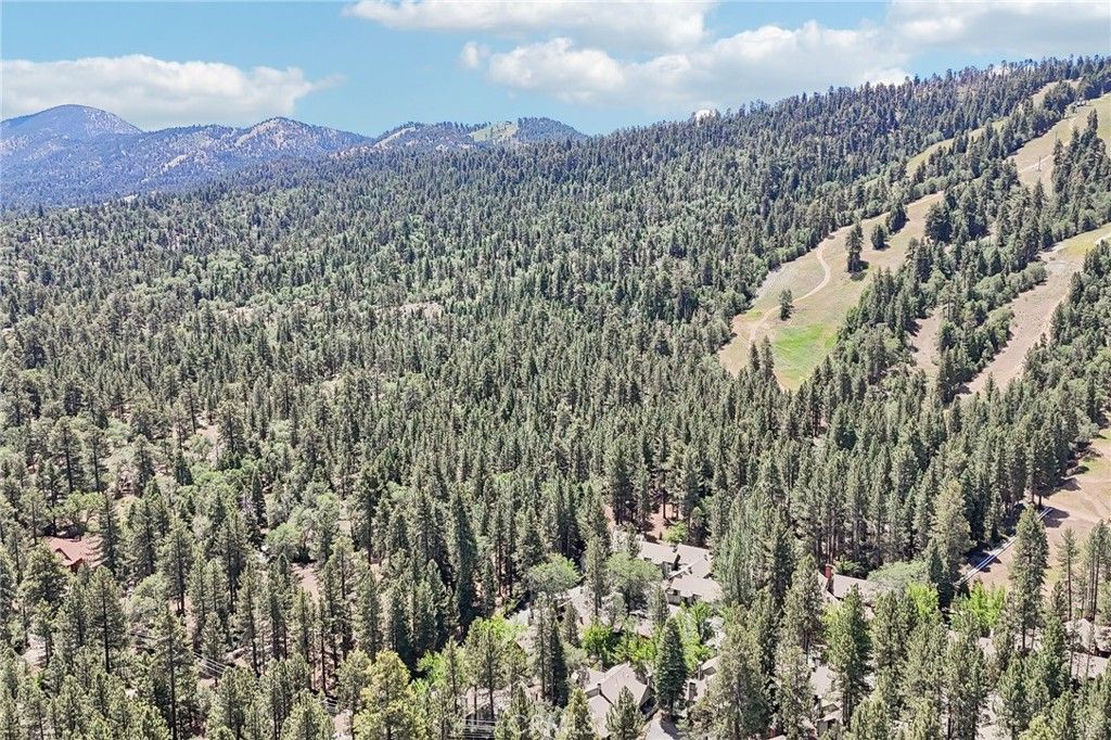 Image 37 of property listing at 41935 Switzerland 77, Big Bear Lake, CA 92315