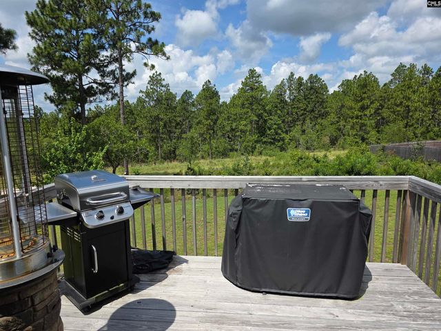 538 Sasanqua Lane, Lexington, SC 29073