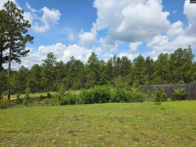 538 Sasanqua Lane, Lexington, SC 29073