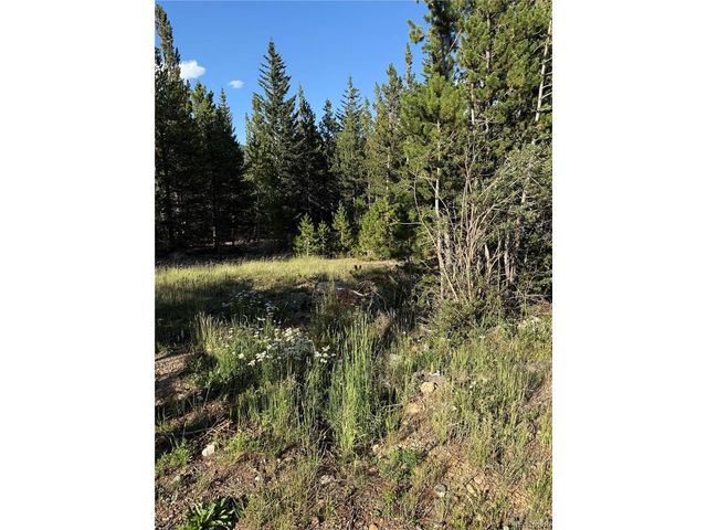 343 Aspen Rd, Idaho Springs, CO 80452