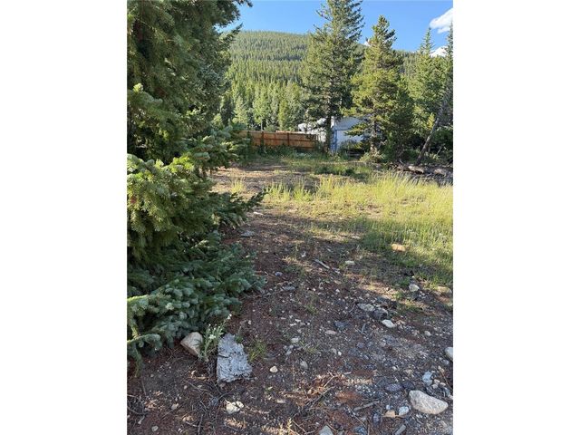 343 Aspen Rd, Idaho Springs, CO 80452