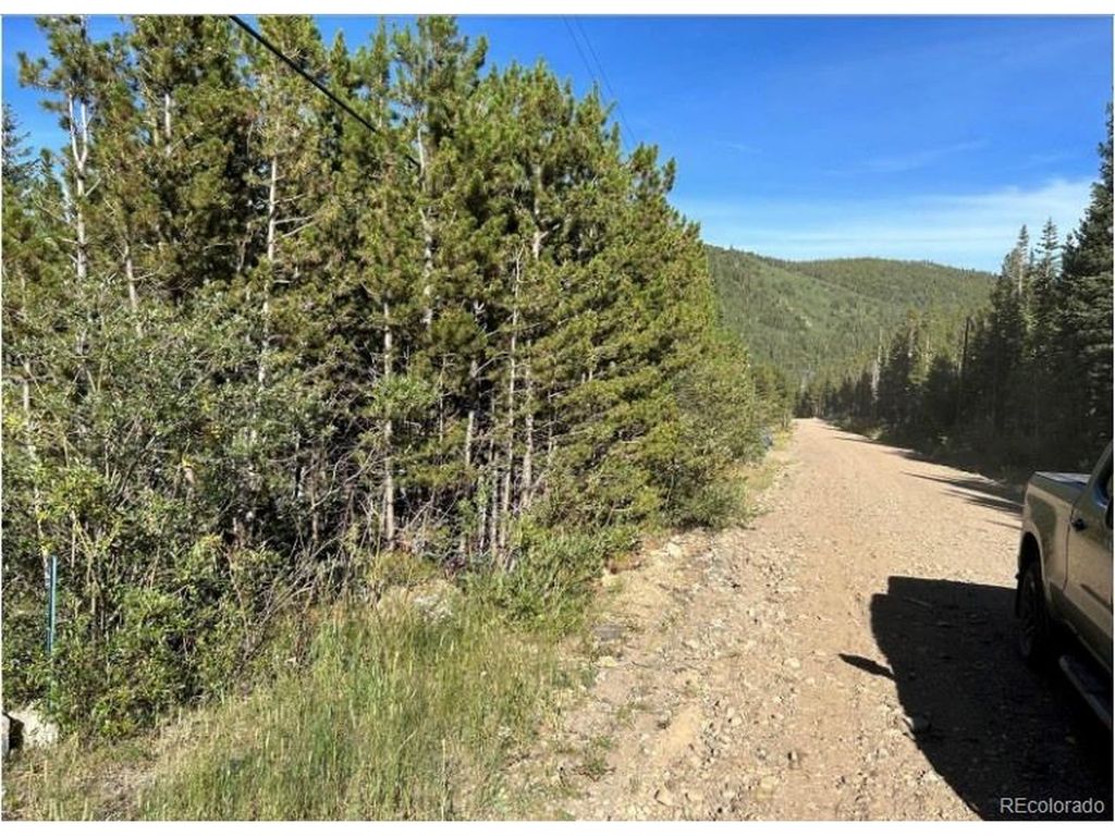 343 Aspen Rd, Idaho Springs, CO 80452