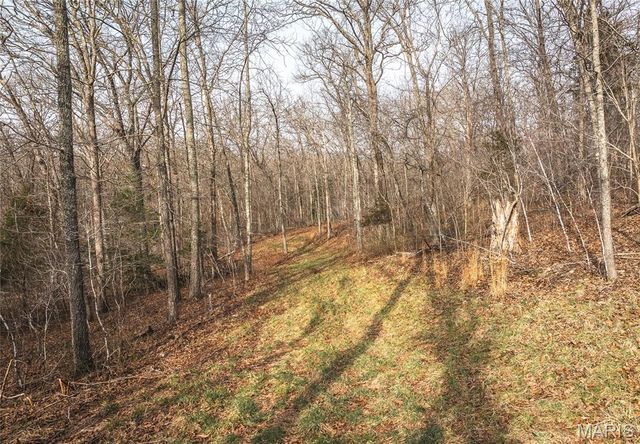 000 County Road 3600 Tract 1, St James, MO 65559