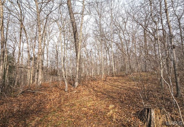 000 County Road 3600 Tract 1, St James, MO 65559