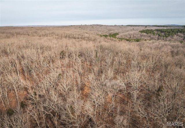 000 County Road 3600 Tract 1, St James, MO 65559