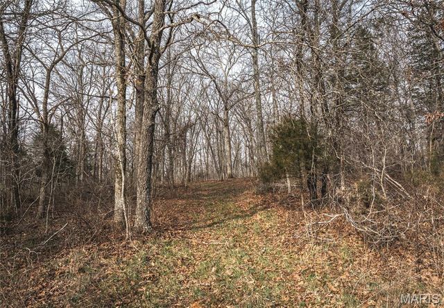 000 County Road 3600 Tract 1, St James, MO 65559
