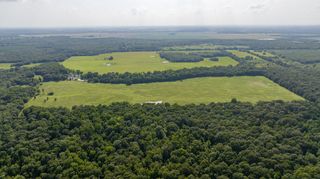 000000 County Rd. 2356, No City, TX 75436