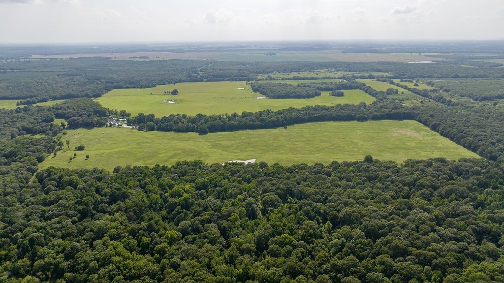 000000 County Rd. 2356, No City, TX 75436