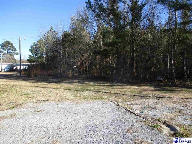 1416 Johnson Rd., Timmonsville, SC 29161