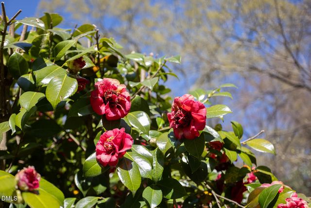 1014 W Forest Hills Boulevard, Durham, NC 27707