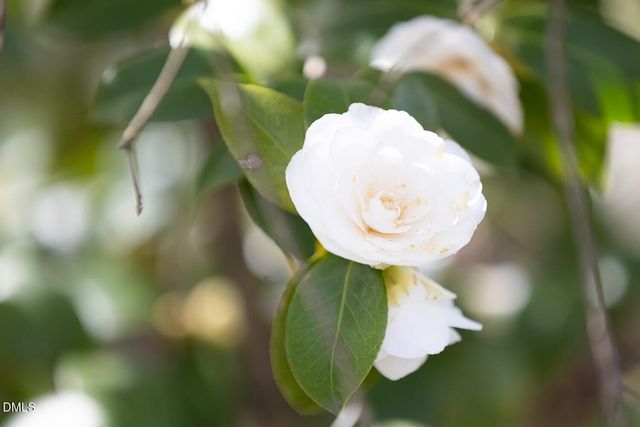 1014 W Forest Hills Boulevard, Durham, NC 27707