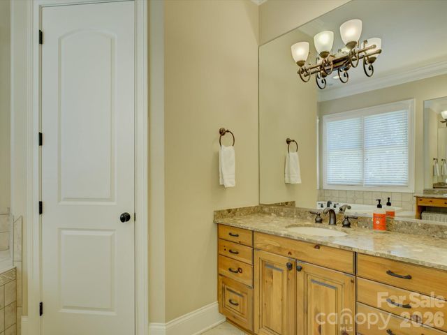 3912 Lake Spring Cove Court, Denver, NC 28037