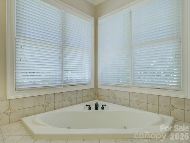 3912 Lake Spring Cove Court, Denver, NC 28037