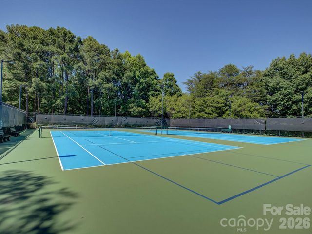 3912 Lake Spring Cove Court, Denver, NC 28037