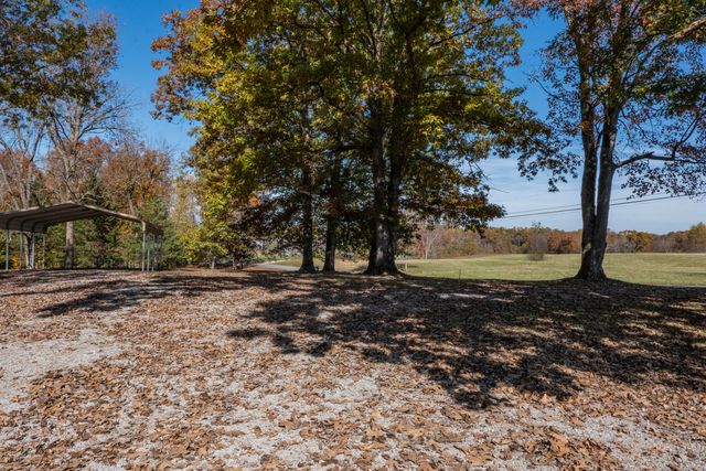 679A Bell Phipps Road, Monticello, KY 42633