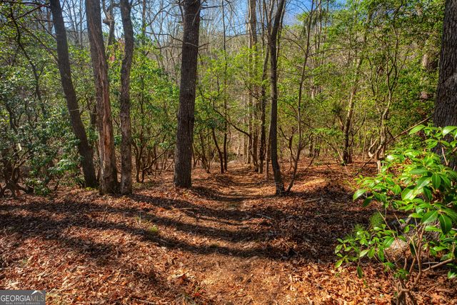 181 Henry Street, Cleveland, GA 30528