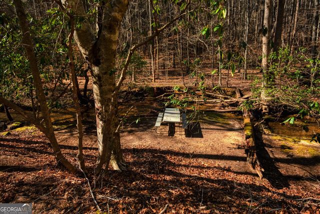 181 Henry Street, Cleveland, GA 30528
