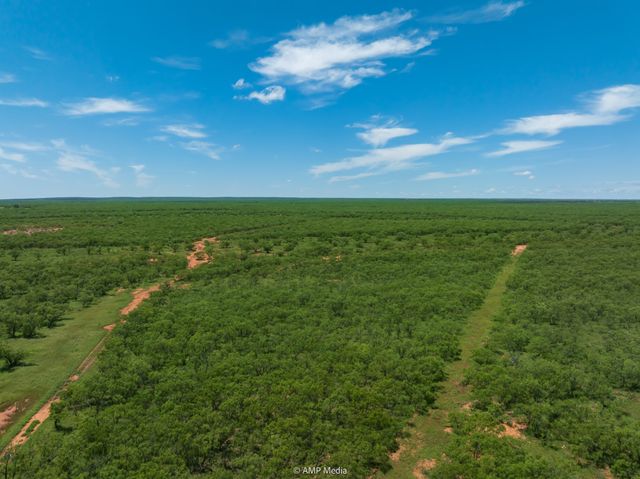 TBD FM 1085, Trent, TX 79561