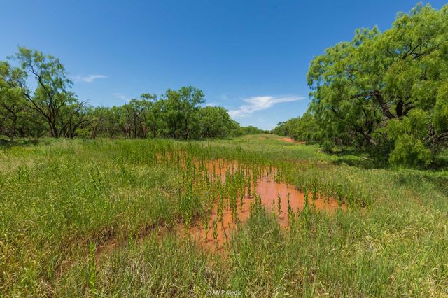 TBD FM 1085, Trent, TX 79561