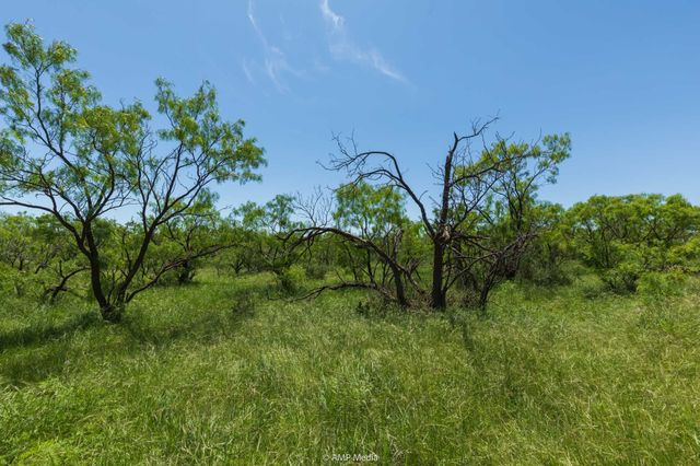 TBD FM 1085, Trent, TX 79561