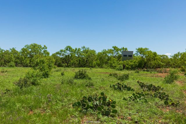 TBD FM 1085, Trent, TX 79561