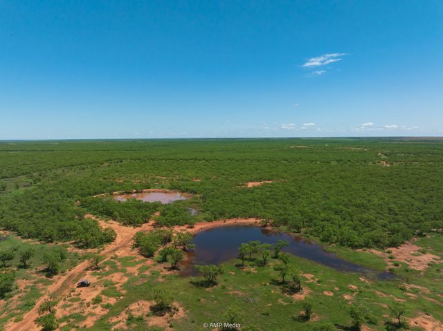 TBD FM 1085, Trent, TX 79561