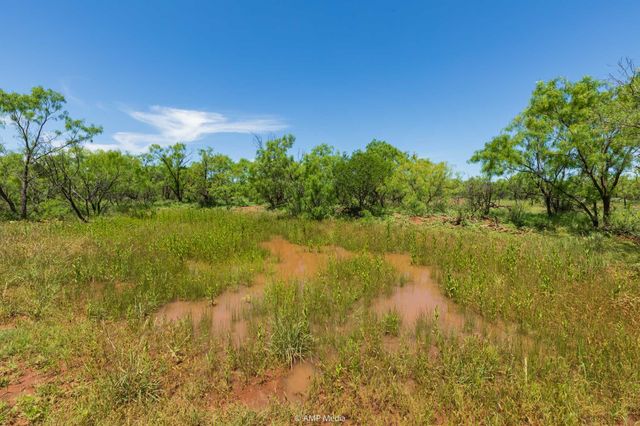 TBD FM 1085, Trent, TX 79561