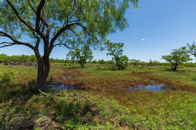 TBD FM 1085, Trent, TX 79561