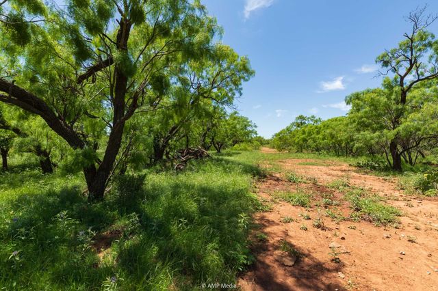 TBD FM 1085, Trent, TX 79561