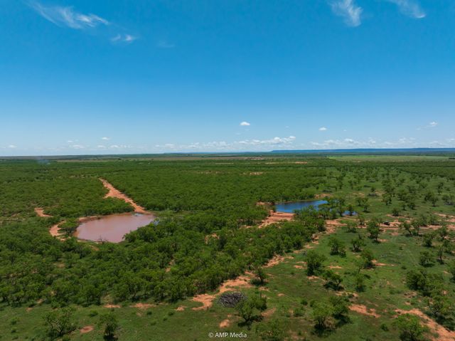 TBD FM 1085, Trent, TX 79561