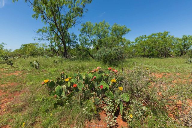 TBD FM 1085, Trent, TX 79561