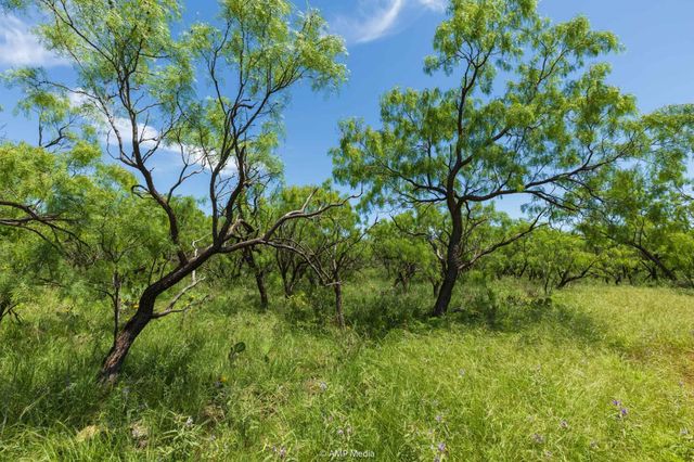 TBD FM 1085, Trent, TX 79561