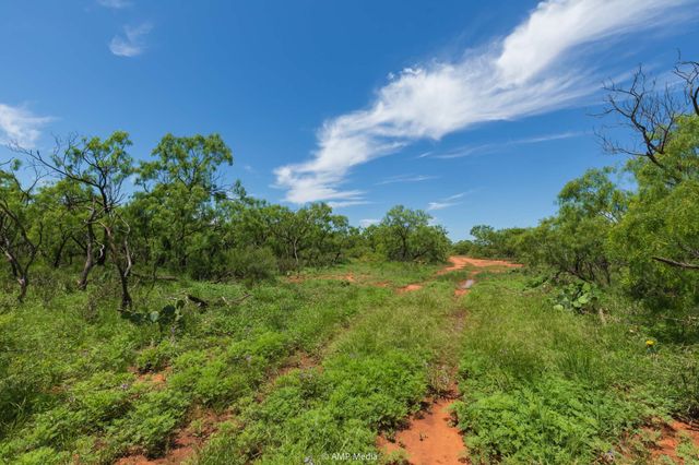 TBD FM 1085, Trent, TX 79561