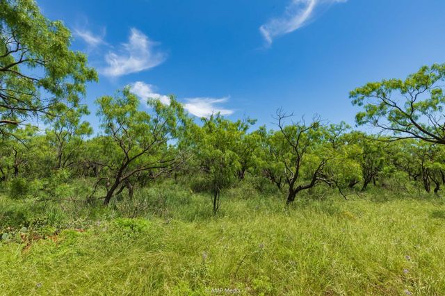 TBD FM 1085, Trent, TX 79561