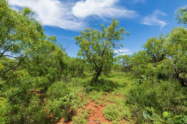 TBD FM 1085, Trent, TX 79561