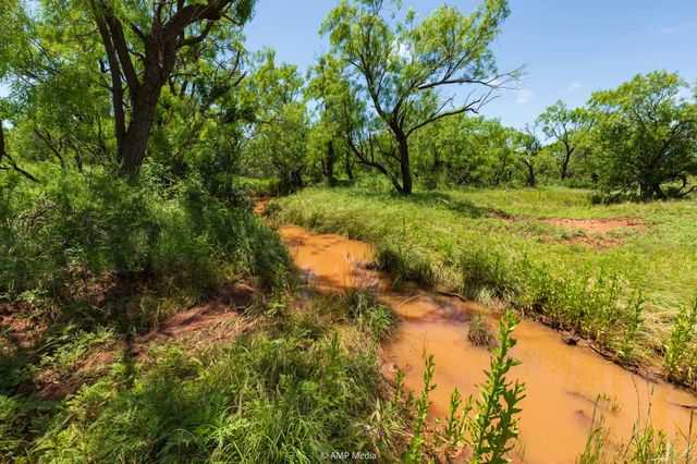 TBD FM 1085, Trent, TX 79561