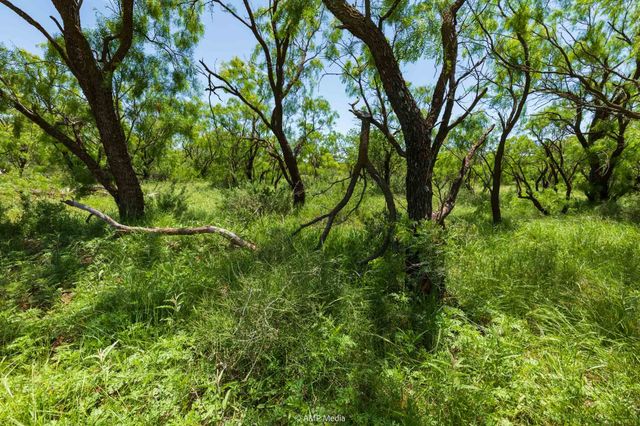TBD FM 1085, Trent, TX 79561