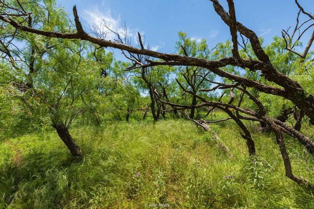 TBD FM 1085, Trent, TX 79561