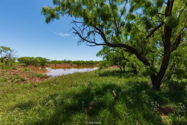 TBD FM 1085, Trent, TX 79561