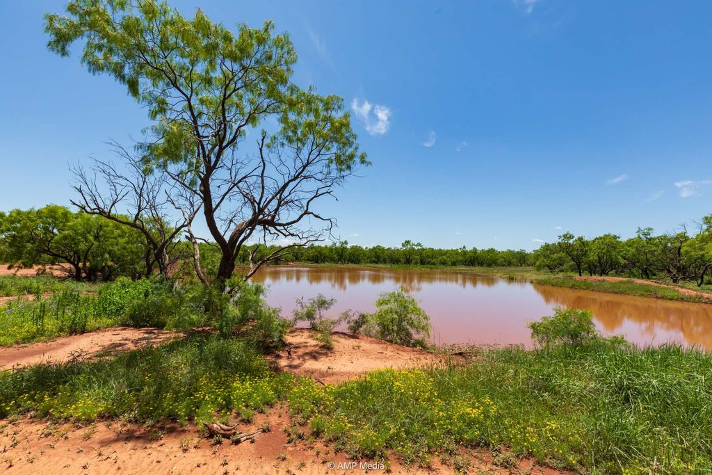 TBD FM 1085, Trent, TX 79561